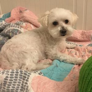 Meet your Posher, Erinn